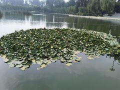 -中国农业博物馆