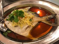 酱油蒸时鱼-德成饭店