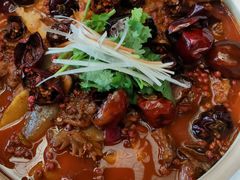 -先机泉水鸡汤(南山老君洞店)