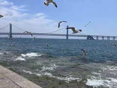 -星海广场