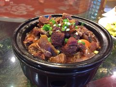 -食家鸽园