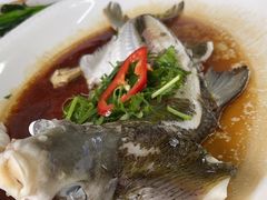 -八仔大富楼·河鲜(西江店)