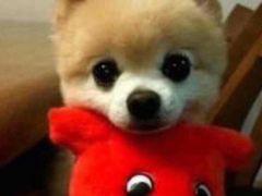 -高铁便当(长白街店)