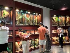 -帕帕拉兹宠物(亚洲旗舰店)