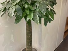-庆德堂中医馆·小儿推拿(江北店)