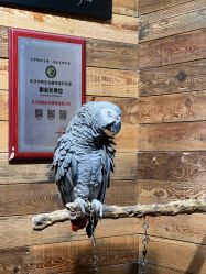 -Zoolung Zoolung动物主题公园(海信广场店)