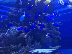 -成都浩海立方海洋公园