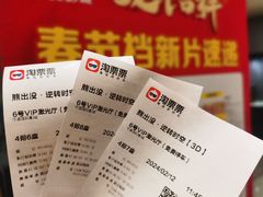 -华美国际影城(旧宫永辉店)