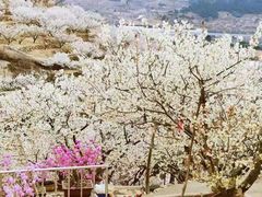 -崂山九水游览区