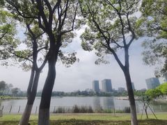 -美兰湖景区