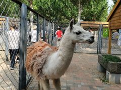 -长白岛森林公园