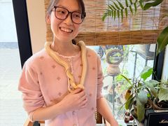 -吉丁鸟咖·异宠·寄养