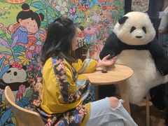 -轩客会(熊猫书店)