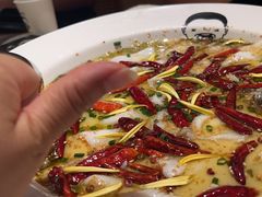 -江渔儿酸菜鱼(曜一城店)