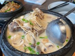 -石锅先生