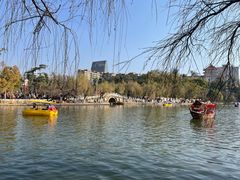 -翠湖公园