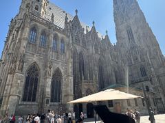 -斯蒂芬主教座堂(Stephansdom)