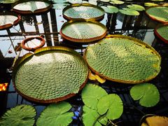 -国家植物园南园