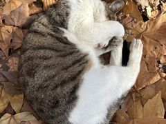 -中南财经政法大学(首义校区)