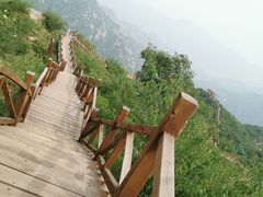 -大岭沟猕猴桃谷风景区