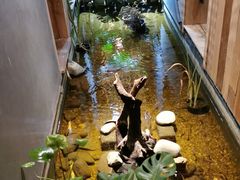 -邈墨茶馆(凤起路店)