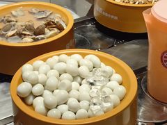 -龍歌自助小火锅(秦淮水游城店)