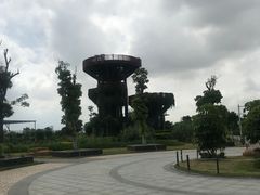 -芒洲湿地公园