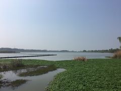 -东湖落雁景区