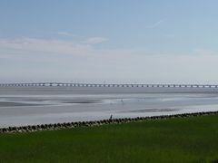 -上海滴水湖皇冠假日酒店