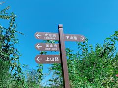 -阳台山自然风景区