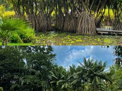 -中国科学院西双版纳热带植物园