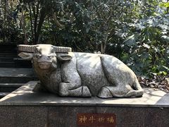 -句容茅山景区