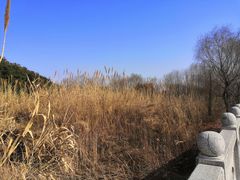 -同里国家湿地公园