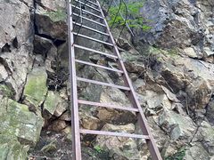 -玉泉威虎山森林公园