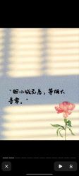 点击看大图 -Oasis Beauty水磨坊科技美肤中心
