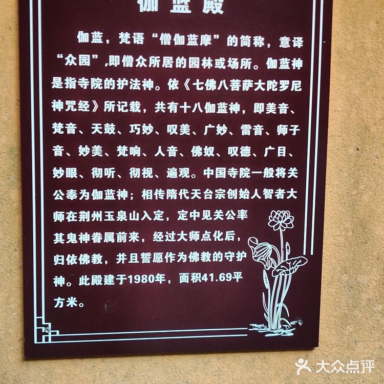 不到珞珈山，等于没来过普陀山🙏