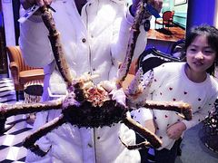 -蟹之国·精品蟹料理(极地店)