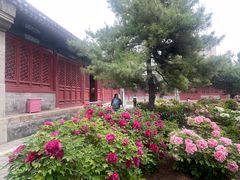 -大钟寺古钟博物馆