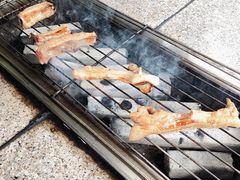 -吴淞炮台湾湿地森林公园烧烤区