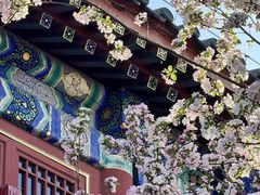 -莲池书院博物馆