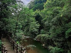 -广州市石门国家森林公园