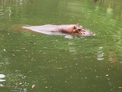 -深圳野生动物园