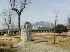 android_upload_pic-泰山花样年华景区