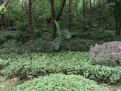 -重庆彩云湖湿地公园