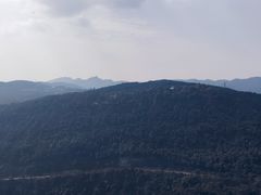 -铁山坪森林公园