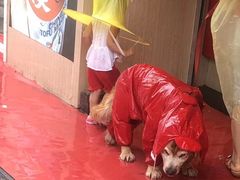 -满园春饼(宜昌万达店)
