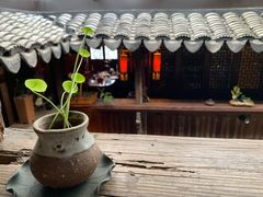 -普洱茶府(博乐广场店)