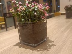 -德克士(城南店)