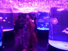 -波塞冬旅游度假区