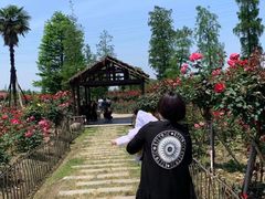 -白塔湖国家湿地公园